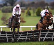 14 December 2008; Mikael D'Haguenet, left, with Paul Townend up, clears the last ahead of eventual second place, Pandorama, with Paul Carberry up, during the Barry & Sandra Kelly Memorial Novice Hurdle. Navan Racecourse, Navan, Co. Meath. Picture credit: David Maher / SPORTSFILE