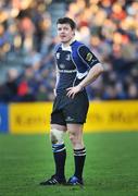 6 December 2008; Brian O'Driscoll, Leinster. Heineken Cup, Pool 2, Round 3, Leinster v Castres Olympique, RDS, Dublin. Picture credit: Diarmuid Greene / SPORTSFILE
