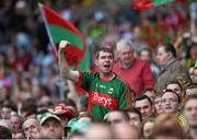 8 August 2015; A Mayo supporter reacts during the game. GAA Football All-Ireland Senior Championship Quarter-Final. Donegal v Mayo, Croke Park, Dublin. Picture credit: Stephen McCarthy / SPORTSFILE