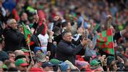8 August 2015; Mayo supporters celebrate a second half point. GAA Football All-Ireland Senior Championship Quarter-Final, Donegal v Mayo, Croke Park, Dublin. Picture credit: Ray McManus / SPORTSFILE
