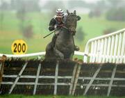 20 December 2008; Smack That, with Shane Jackson up, clears the last on their way to winning the Christmas Greetings Handicap Hurdle of €12,500. Navan racecourse, Navan. Picture credit: Brian Lawless / SPORTSFILE