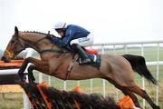 21 December 2008; Ninetieth Minute, with Paddy Flood up, jumps the last on the way to winning the Horse and Jockey Hotel Hurdle. Thurles Racecourse, Thurles, Co. Tipperary. Picture credit: Matt Browne / SPORTSFILE