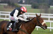 28 December 2008; Casey Jones, with Paul Carberry up, on the way to winning the Knight Frank Novice Steeplechase. Leopardstown Christmas Racing Festival 2008, Leopardstown. Picture credit: Brian Lawless / SPORTSFILE