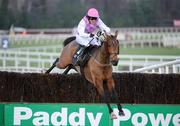 28 December 2008; Exotic Dancer, with Tony McCoy up, clears the last on the way to winning the Lexus Steeplechase. Leopardstown Christmas Racing Festival 2008, Leopardstown. Picture credit: Brian Lawless / SPORTSFILE
