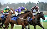 29 December 2008; Eventual winner Dancing Tornado, with David Casey up, far left, on the run up to the finishing post, behind 2nd place Candy Girl, Paul Carberry up, right, and 3rd place Splurge, Alan Crowe up, during the Leopardstown Golf Academy Hurdle. Leopardstown Christmas Racing Festival 2008, Leopardstown. Photo by Sportsfile