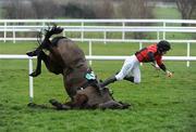 29 December 2008; Philip Enright falls off his horse Askthemaster after the final jump in the Centra Central Park Beginners Steeplechase. Leopardstown Christmas Racing Festival 2008, Leopardstown. Photo by Sportsfile