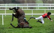 29 December 2008; Philip Enright falls off his horse Askthemaster after the final jump in the Centra Central Park Beginners Steeplechase. Leopardstown Christmas Racing Festival 2008, Leopardstown. Photo by Sportsfile