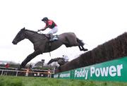 29 December 2008; Askthemaster, with Philip Enright up, jumps the last before falling in the Centra Central Park Beginners Steeplechase. Leopardstown Christmas Racing Festival 2008, Leopardstown. Photo by Sportsfile