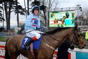 29 December 2008; Jockey Philip Carberry celebrates aboard Sublimity after winning the Leopardstown Golf Centre December Festival Hurdle. Leopardstown Christmas Racing Festival 2008, Leopardstown. Photo by Sportsfile