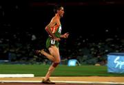 27 September 2000; Mark Carroll of Ireland competing the line to finish 7th in the Men's 5000m heat during day 13 of the Sydney Olympics in Sydney, Australia. Photo by Brendan Moran/Sportsfile