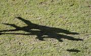 8 October 2000; Shadows of players competing during the International Rules Series First Test match between Ireland and Australia at Croke Park in Dublin. Photo by Brendan Moran/Sportsfile