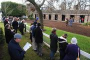 29 December 2008; A general view of punters viewing the horses in the stables. Leopardstown Christmas Racing Festival 2008, Leopardstown. Photo by Sportsfile