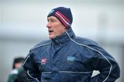 11 January 2009; Louth manager Eamonn McEneaney during the game. O'Byrne Cup Quarter-Final, Longford v Louth, Pearse Park, Longford. Picture credit: David Maher / SPORTSFILE