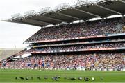8 August 2015; Pidgeons feed on the pitch during the game. GAA Football All-Ireland Senior Championship Quarter-Final, Monaghan v Tyrone. Croke Park, Dublin. Picture credit: Stephen McCarthy / SPORTSFILE