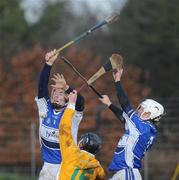 18 January 2009; Darren Maher, left, and Brian Stapleton, Laois, in action against Paddy Doherty, Antrim. Walsh Cup, Laois v Antrim, Kelly Daly Park, Rathdowney, Co. Laois. Picture credit: Brian Lawless / SPORTSFILE