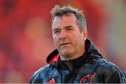 l14 August 2015; Munster head coach Anthony Foley. Pre-Season Friendly, Munster v Grenoble, Thomond Park, Limerick. Picture credit: Brendan Moran / SPORTSFILE