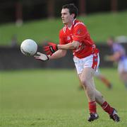 18 January 2009; David Reid, Louth. O'Byrne Cup Semi-Final, Louth v Wicklow, Drogheda, Co. Louth. Photo by Sportsfile