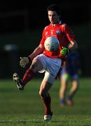 18 January 2009; Brian White, Louth. O'Byrne Cup Semi-Final, Louth v Wicklow, Drogheda, Co. Louth. Photo by Sportsfile