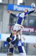 21 January 2009; Ben Marshall, St Andrew's,wins possession in the lineout against Kilkenny College. Vinnie Murray Cup, 2nd Round, Kilkenny College v St Andrew's, Donnybrook Stadium, Dublin. Picture credit: Matt Browne / SPORTSFILE