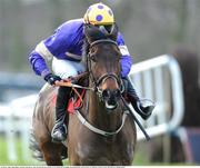 22 January 2009; Alpha Ridge, with Davy Russell up,  after jumping the last on their way to winning the Alo Duffin Memorial Hurdle. Gowran Park, Co. Kilkenny. Picture credit: Matt Browne / SPORTSFILE