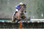 22 January 2009; Alpha Ridge, with Paur Carberry up, jump the last on their way to winning the Alo Duffin Memorial Hurdle. Gowran Park, Co. Kilkenny. Picture credit: Matt Browne / SPORTSFILE