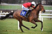 25 January 2009; Alexander Severus, with Andrew McNamara up, races clear of the last on the way to winning the Frank Conroy Memorial Maiden Hurdle. Leopardstown Racecourse, Leopardstown, Co. Dublin. Picture credit: Brian Lawless / SPORTSFILE