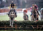 25 January 2009; Roberto Goldback, with Barry Geraghty up, left, clears the last ahead of second place Weapon's Amnesty, Davy Russell up, on their way to winning the Synergy Security Services Novice Hurdle. Leopardstown Racecourse, Leopardstown, Co. Dublin. Picture credit: Brian Lawless / SPORTSFILE