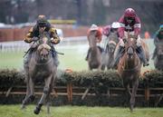 25 January 2009; Roberto Goldback, with Barry Geraghty up, left, races clear of second place Weapon's Amnesty, Davy Russell up, on their way to winning the Synergy Security Services Novice Hurdle. Leopardstown Racecourse, Leopardstown, Co. Dublin. Picture credit: Brian Lawless / SPORTSFILE