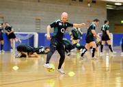 27 January 2009; Ireland's Peter Stringer in action during squad training. University Arena, University of Limerick, Limerick. Picture credit: Kieran Clancy / SPORTSFILE