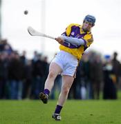 18 January 2009; Rory Jacob, Wexford. Walsh Cup, Wexford v UCD, Ferns, Co. Wexford. Picture credit: Matt Browne / SPORTSFILE