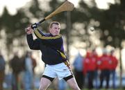 18 January 2009; Dermot Flynn, Wexford. Walsh Cup, Wexford v UCD, Ferns, Co. Wexford. Picture credit: Matt Browne / SPORTSFILE