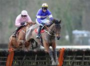 22 January 2009; Alpha Ridge, with Davy Russell up, on their way to winning the Alo Duffin Memorial Hurdle. Gowran Park, Co. Kilkenny. Picture credit: Matt Browne / SPORTSFILE
