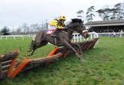 22 January 2009; Torre Del Greco, with Paul Carberry up, during the Kilkenny Handicap Hurdle. Gowran Park, Co. Kilkenny. Picture credit: Matt Browne / SPORTSFILE