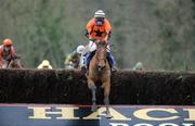 22 January 2009; Chelsea Harbour, with Emmet Mullins up, jump the last during the Ellen Construction Thyestes Handicap Chase. Gowran Park, Co. Kilkenny. Picture credit: Matt Browne / SPORTSFILE