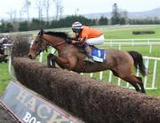 22 January 2009; Chelsea Harbour, with Emmet Mullins up, jumps the last during the Ellen Construction Thyestes Handicap Chase. Gowran Park, Co. Kilkenny. Picture credit: Matt Browne / SPORTSFILE