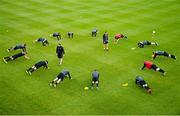 21 August 2015; Dundalk players warm up before the game. Irish Daily Mail FAI Cup, Third Round, Galway United v Dundalk, Eamonn Deasy Park, Galway. Picture credit: Sam Barnes / SPORTSFILE