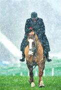 2 February 2009; Judge Tom Lawler during heavy snow at the National Coursing Meeting. Powerstown Park, Clonmel, Co. Tipperary. Picture credit: David Maher / SPORTSFILE
