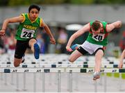 23 August 2015; Aaron Malik, Ardfert-Kilmoyley, Co. Kerry, left, and Cian O'Connell, Ballinrobe, Co. Mayo, right, competing in the Boys U14 & O12 80 metres hurdles. HSE National Community Games Festival, Weekend 2. Athlone IT, Athlone, Co. Westmeath. Picture credit: Seb Daly / SPORTSFILE