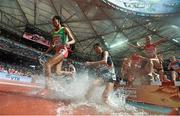 24 August 2015; Athletes during the Women's 3000m Steeplechase heats. IAAF World Athletics Championships Beijing 2015 - Day 3, National Stadium, Beijing, China. Picture credit: Stephen McCarthy / SPORTSFILE