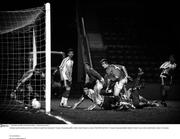 ***Paul Mohan, Sportsfile, wins World Press Photo – 1st prize in sports action***    Goalkeeper Spyridon Papathanasiou looks on as Ireland score against Greece during under-17 European Championship qualifier, Athlone, Ireland (The picture was taken, 15 March 2008, at the Men's U17 European Championship Qualifier, Republic of Ireland v Greece, in the Lissywollen Stadium, Athlone, Co. Westmeath).            For more details see;     http://www.worldpressphoto.org/