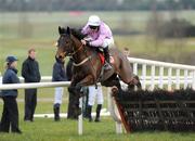 14 February 2009; Solwhit, with Davy Russell up, clears the last on their way to winning the Red Mills Trial Hurdle. Gowran Park, Co. Kilkenny. Picture credit: Pat Murphy / SPORTSFILE