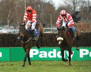 15 February 2009; Cooldine, with Ruby Walsh up,  left, jumps the last on the way to winning the Dr. P.J. Moriarty Novice Steeplechase, alongside eventual second place Forpadydeplasterer, with Barry Geraghty up. Leopardstown Racecourse, Dublin. Photo by Sportsfile