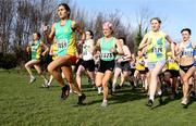 15 February 2009; The start of the Master Ladies 4000m race. AAI Intermediate and Masters Cross Country Championship. Tymon Park, Templeogue, Dublin. Picture credit: Tomas Greally / SPORTSFILE