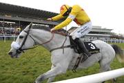 15 February 2009; Neptune Collonges, with Ruby Walsh up, on their way to winning the Hennessy Cognac Gold Cup. Leopardstown Racecourse, Dublin. Photo by Sportsfile