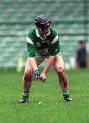 22 October 2000; John Meskell of Limerick during the Waterford Crystal South East Hurling League match between Limerick and Cork at Gaelic Grounds in Limerick. Photo by Damien Eagers/Sportsfile