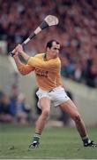 3 September 1995; Offaly goal keeper David Hughes. All-Ireland Hurling Final, Clare v Offaly, Croke Park, Dublin. Picture credit; SPORTSFILE