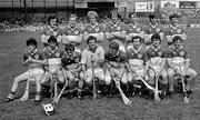 July 1984: The Offaly team. Leinster Senior Hurling Championship Final, Offaly v Wexford. Croke Park, Dublin. Picture credit; Ray McManus / SPORTSFILE