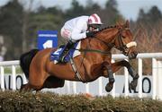 15 February 2009; Pandorama, with Paul Carberry up, during the Deloitte Novice Hurdle. Leopardstown Racecourse, Dublin. Photo by Sportsfile