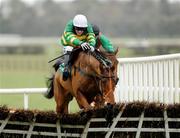 22 February 2009; Smoking Aces, with Paddy Flood up, jumps the last on their way to winning the Paddy Power Dial-A-Bet 1800721821 Maiden Hurdle from third place Fair Ina, with Tom Doyle up. Woodlands Park Racecourse, Naas, Co. Kildare. Picture credit: Matt Browne / SPORTSFILE