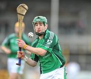 15 February 2009; Andrew O'Shaughnessy, Limerick. Allianz National Hurling League, Division 1, Round 2, Kilkenny v Limerick, Nowlan Park, Kilkenny. Picture credit: David Maher / SPORTSFILE